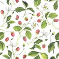 Wild Strawberry Seameless Pattern. Watercolor
