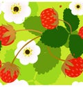 Wild strawberry seamless pattern