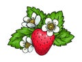 Wild strawberry sweet red whole ripe sweet berry Royalty Free Stock Photo