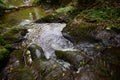 Wild stream Brodenbach next to Mosel River