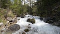 Wild stream flowing in idyllic uncontaminated environment