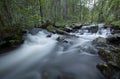 Wild stream in a forest in dalarna, Sweden