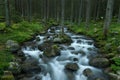 Wild stream in Low Tatras Royalty Free Stock Photo