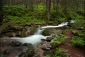 Wild stream in Low Tatras