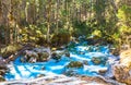 Wild stream Ramsauer Ache in the bavarian Alps Royalty Free Stock Photo