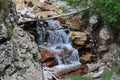 Wild strem in the mountains