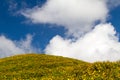 Wild sunflower background with yellow flowers and beautiful cloudy blue sky in Northen Thailand Royalty Free Stock Photo