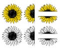 Wild Sunflower Set, Flower Frame, Vector Illustration Isolated On White Background
