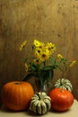 wild sunflowers and colorful pumpkins