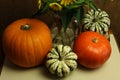 wild sunflowers and colorful pumpkins