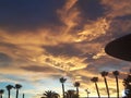 Wild sunset clouds with palm trees