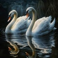 animal birds swans nature water lake illustration.