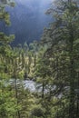 Wild taiga river. Forested shores, steep hillside