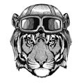 Wild tiger Aviator, biker, motorcycle Hand drawn illustration for tattoo, emblem, badge, logo, patch