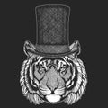 Tiger. Top hat, cylinder. Hipster animal, gentleman. Classic headdress. Print for children t-shirt, kids clothing.