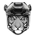 Wild tiger Hockey image Wild animal wearing hockey helmet Sport animal Winter sport Hockey sport