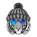 Wild tiger wearing hippie glasses and knitted hat Hipster animal Picture for tattoo, logo, emblem, badge design