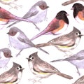 Wild titmouses bushtits and juncos seamless watercolor background