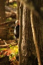 Wild Tom Turkey Peers From Behind a Tree in the Forest Royalty Free Stock Photo