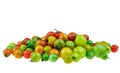 Wild Tomato or Love Apple is a type of small round tomatoes at white background Royalty Free Stock Photo