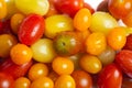 Organic Fresh Wild Tomato Varieties