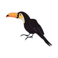 Wild toucan bird animal icon