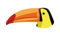 Wild toucan exotic bird head animal