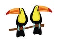 Wild toucans exotic birds animals