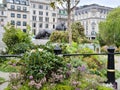 Wild Trafalgar Square Royalty Free Stock Photo