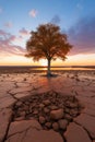 A wild tree grows in arid desert soil with cracks. Drought problem. Generative AI Royalty Free Stock Photo