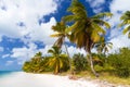 Wild tropical beach Royalty Free Stock Photo