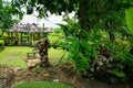 Wild tropical garden in Oceania with coconut shells, exotic vegetation and fales, Samoa