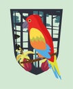 Wild tropical parrot bird in shield frame Royalty Free Stock Photo