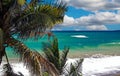 Wild tropical seascape, turquoise blue water, strong surf waves, palmt tree leafes - Port Antonio, San San Beach, Jamaica