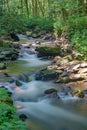 Wild Trout Stream in the Blue Ridge Mountains Royalty Free Stock Photo