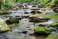 Wild Trout Stream in the Blue Ridge Mountains