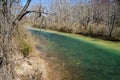 Wild Trout Stream in Goshen Pass Royalty Free Stock Photo