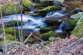 Wild Trout Stream, Jefferson National Forest Royalty Free Stock Photo