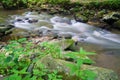 Small Trout Stream in the Blue Ridge Mountains Royalty Free Stock Photo