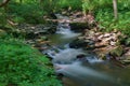 Wild Trout Stream in the Blue Ridge Mountains Royalty Free Stock Photo