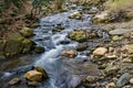 Wild Trout Stream in the Blue Ridge Mountains Royalty Free Stock Photo