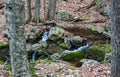 Wild Trout Stream in the Mountains Royalty Free Stock Photo