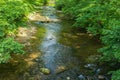 Wild Trout Stream in the Mountains of Virginia, USA Royalty Free Stock Photo