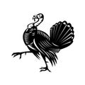 Wild Turkey Marching Side View Retro Black and White