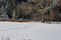 Wild turkey tracks after a Wisconsin snow storm in December