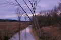  Mystical Dark River and Tree, Scary Mysterious Forest Twilight Sunset Spring Scary Nature, Creepy, Horror 