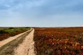 Wild and undiscovered nature, beaches and cliffs in the Algarve`s West Coast, near Lagos, Portugal Royalty Free Stock Photo