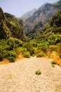 Wild valley lush vegetation. Megalo Seitani, Samos Royalty Free Stock Photo