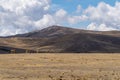 Wild vicuna roaming around the Highlands of Peru Royalty Free Stock Photo