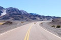 Wild vicunas on the road to Campo de Piedra Pomez, Catamarca, Argentina